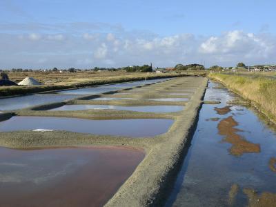 marais salants