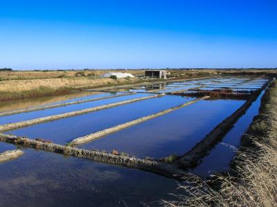 marais salants