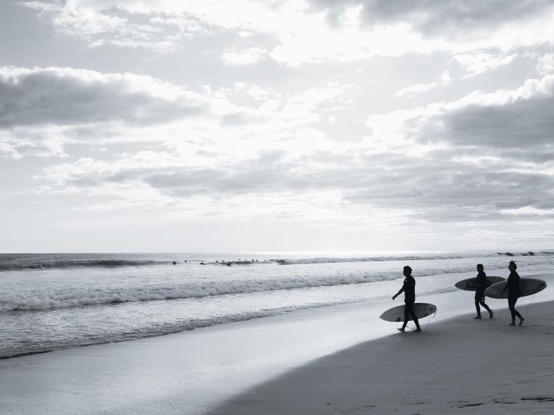 surf