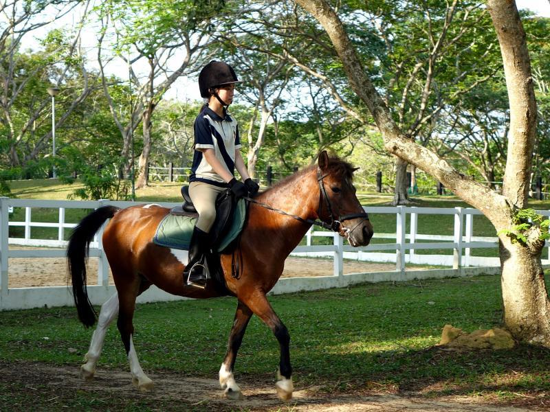 cheval