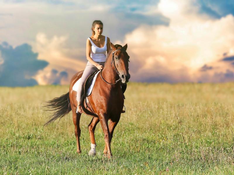 cheval