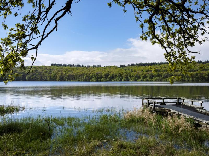 lac de guerlédan