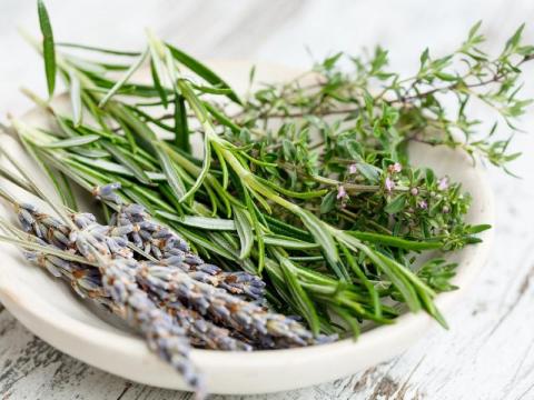 herbes aromatiques