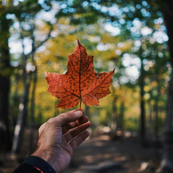 Scolarité Canada