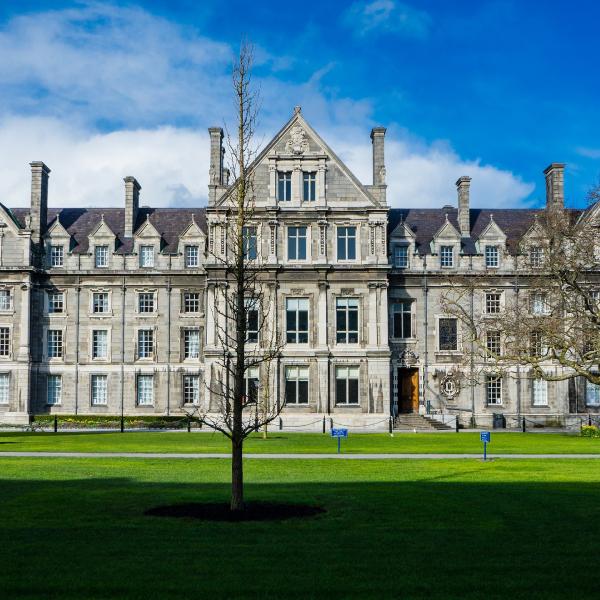 Scolarité Irlande